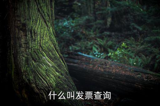 什么叫發票查詢