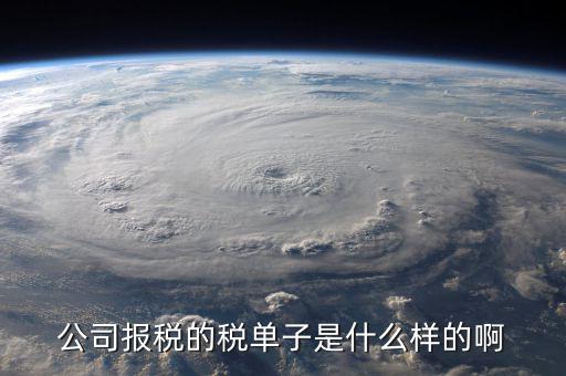 稅務清單是什么樣的，公司報稅的稅單子是什么樣的啊
