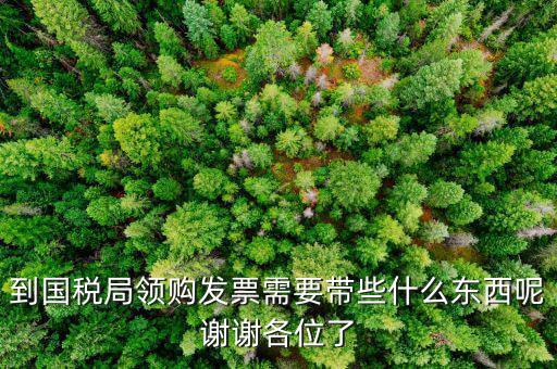 到國稅局領購發票需要帶些什么東西呢謝謝各位了