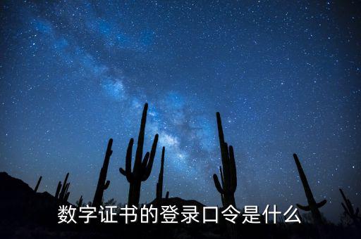 數字證書的登錄口令是什么