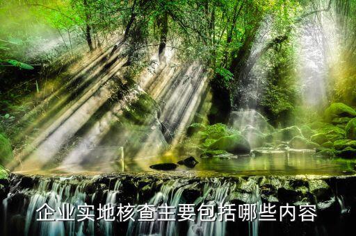 企業實地核查主要包括哪些內容