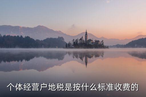 個體經營戶地稅是按什么標準收費的