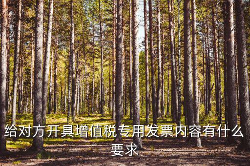 給對方開具增值稅專用發票內容有什么要求