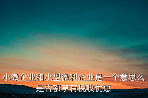 小微企業和小型微利企業是一個意思么是否都享有稅收優惠