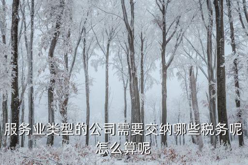 服務業類型的公司需要交納哪些稅務呢怎么算呢