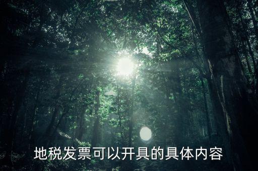 地稅發票可以開具的具體內容