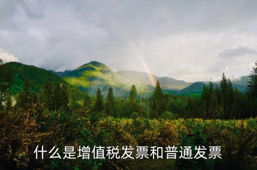 什么是增值稅發票和普通發票