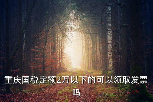 重慶用的什么定額發票，重慶國稅定額2萬以下的可以領取發票嗎