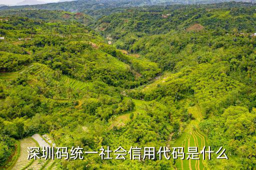 深圳碼統一社會信用代碼是什么