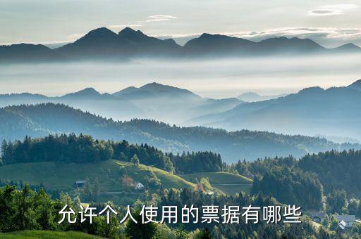 允許個人使用的票據有哪些