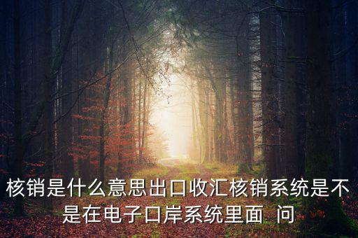 核銷是什么意思出口收匯核銷系統是不是在電子口岸系統里面  問