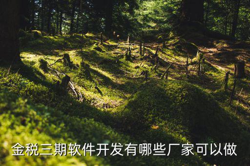 金稅三期軟件開發有哪些廠家可以做