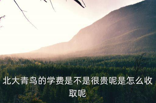 國稅局安靜工程是什么，北大青鳥的學(xué)費是不是很貴呢是怎么收取呢