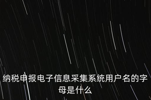 江蘇國稅電子稅務局登錄用戶名是什么意思，江蘇國稅網上辦稅服務廳的用戶名是什么