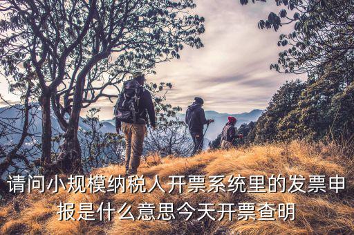 納稅人申報是什么意思，申報納稅是什么意思為什么取得營業執造后30天就申報還沒有銷售