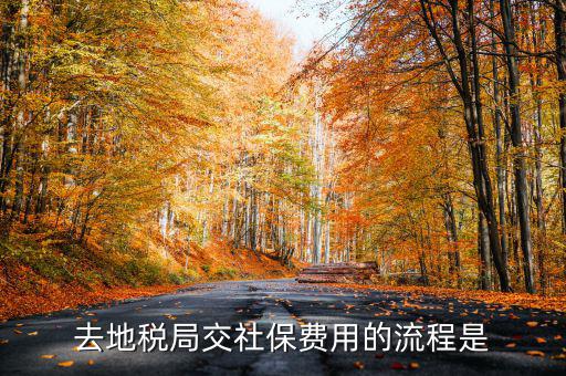 地稅局交社保需要什么手續費，去地稅局交社保費用的流程是