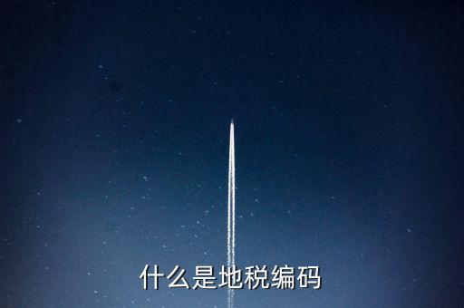 稅收編號是什么意思，稅務登記證上的企業編碼是什么意思不是就是稅務號