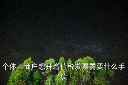 個體工商戶想開增值稅發票需要什么手續