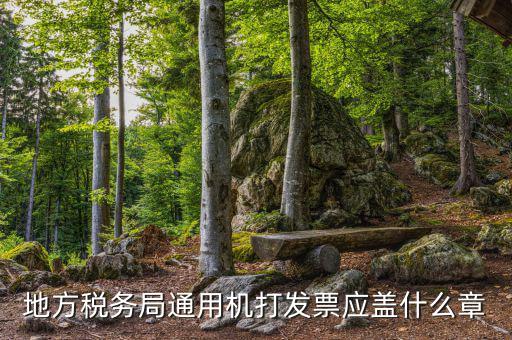 地方稅務局通用機打發票應蓋什么章