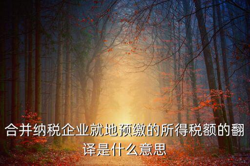 合并納稅企業就地預繳的所得稅額的翻譯是什么意思