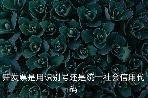 開發票是用識別號還是統一社會信用代碼