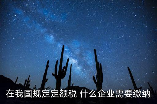在我國規定定額稅 什么企業需要繳納