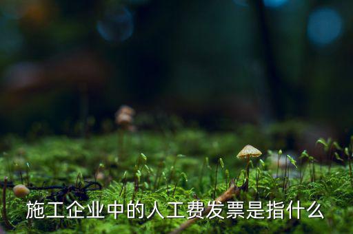 施工企業中的人工費發票是指什么