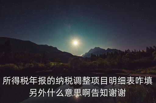 納稅調(diào)整項目明細(xì)表是什么意思，稅后調(diào)整是什么意思
