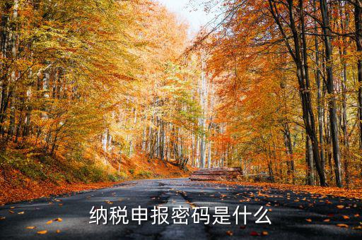 怎樣查地稅密碼是什么，稅務數字證書密碼忘記或鎖定如何解決