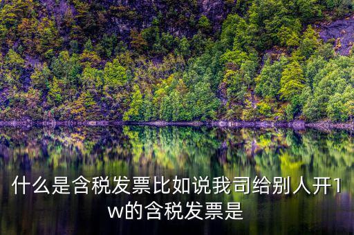 什么行業一般人發票含稅，什么類納稅人可以開增值稅專用發票