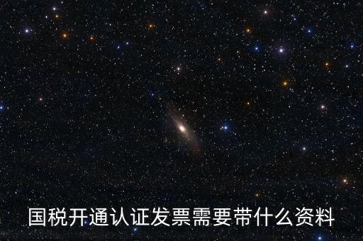 國稅開通認證發票需要帶什么資料