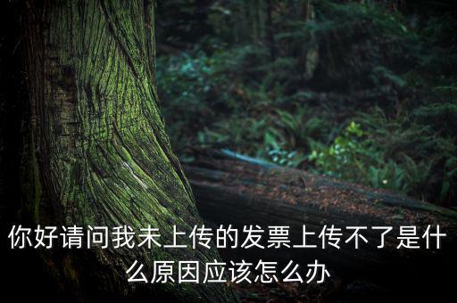 發票沒上傳什么意思，發票系統顯示O張未上傳發票可是在查不到提示查無此票怎么回