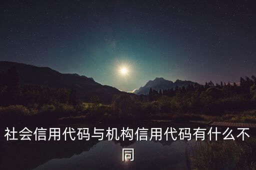 社會信用代碼與機構信用代碼有什么不同