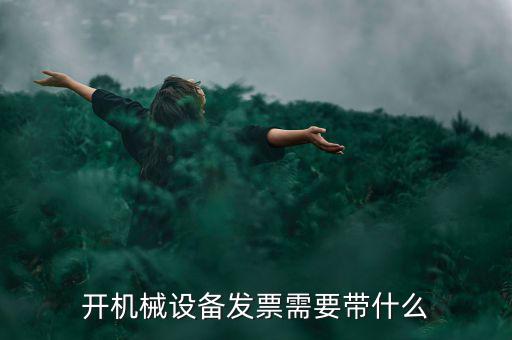 開機械設備發票需要帶什么