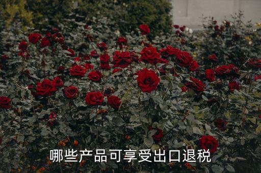 哪些產品可享受出口退稅