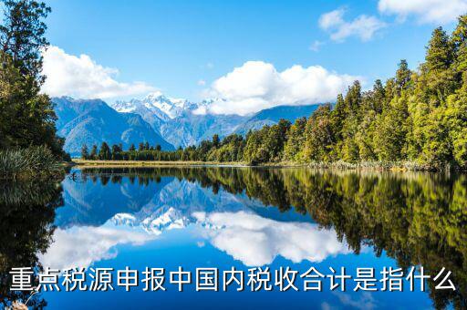重點稅源填了有什么用，我的電腦重裝后重點稅源以前數據怎么查詢
