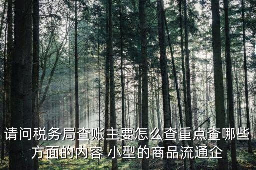 重點稅源稅務局看什么，稅務局主要看報表的什么