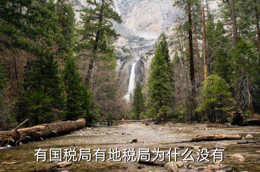 晨曦集團地稅為什么少，社保為什么要地稅代扣