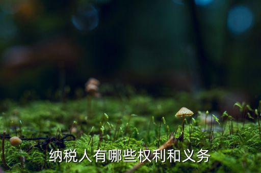 納稅人有哪些權利和義務
