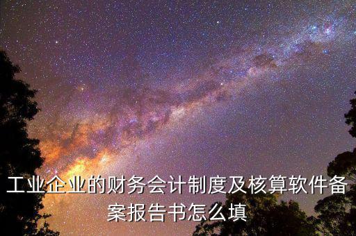 工業企業的財務會計制度及核算軟件備案報告書怎么填