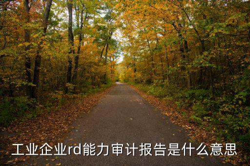 工業企業rd能力審計報告是什么意思