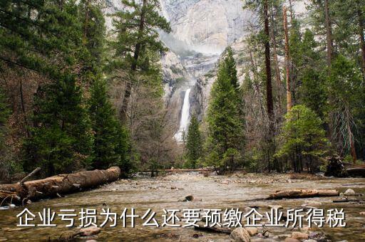 企業虧損為什么還要預繳企業所得稅