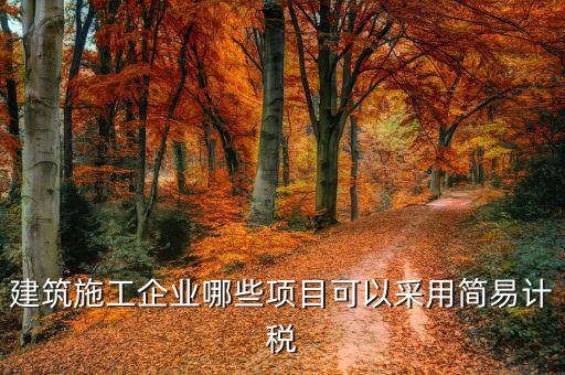 什么行業適合簡易征收，建筑行業什么情況下可以選擇簡易征收