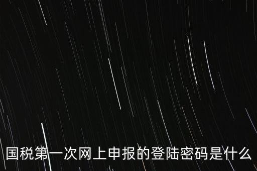 國稅的登錄密碼是什么，國稅第一次網(wǎng)上申報的登陸密碼是什么