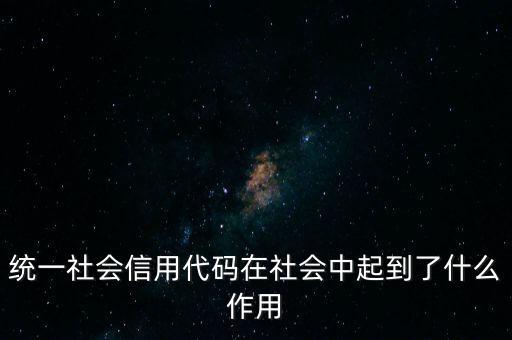 統一社會信用代碼在社會中起到了什么作用