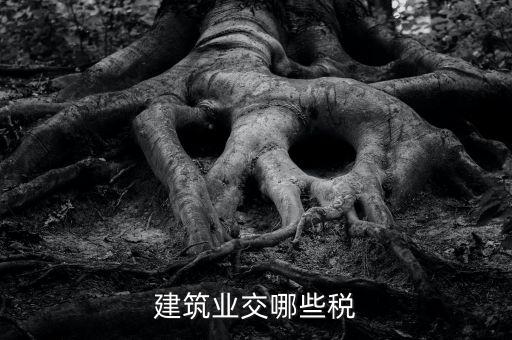 建筑設計交什么稅，建筑設計企業所得稅應該交什么稅呀怎么抵扣