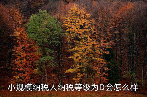 小規模納稅人納稅等級為D會怎么樣