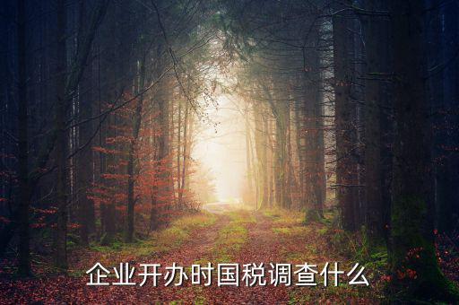 國稅稅收調查調查什么，國稅三稅調查是指哪三稅