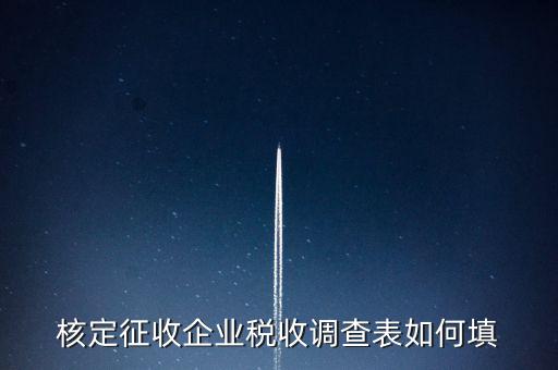 什么企業填稅收調查表，核定征收企業稅收調查表如何填
