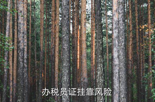 實名辦稅員有什么風險，里面有個辦稅人要填我的名字會不會付法律責任有什么風險沒